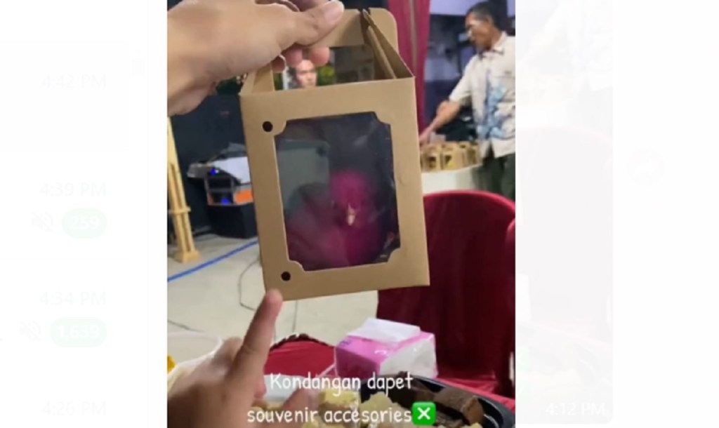 Viral Pernikahan Beri Anak Ayam Warna-warni Jadi Souvenir Tamu, Netizen: Kasihan&nbsp;Ayamnya