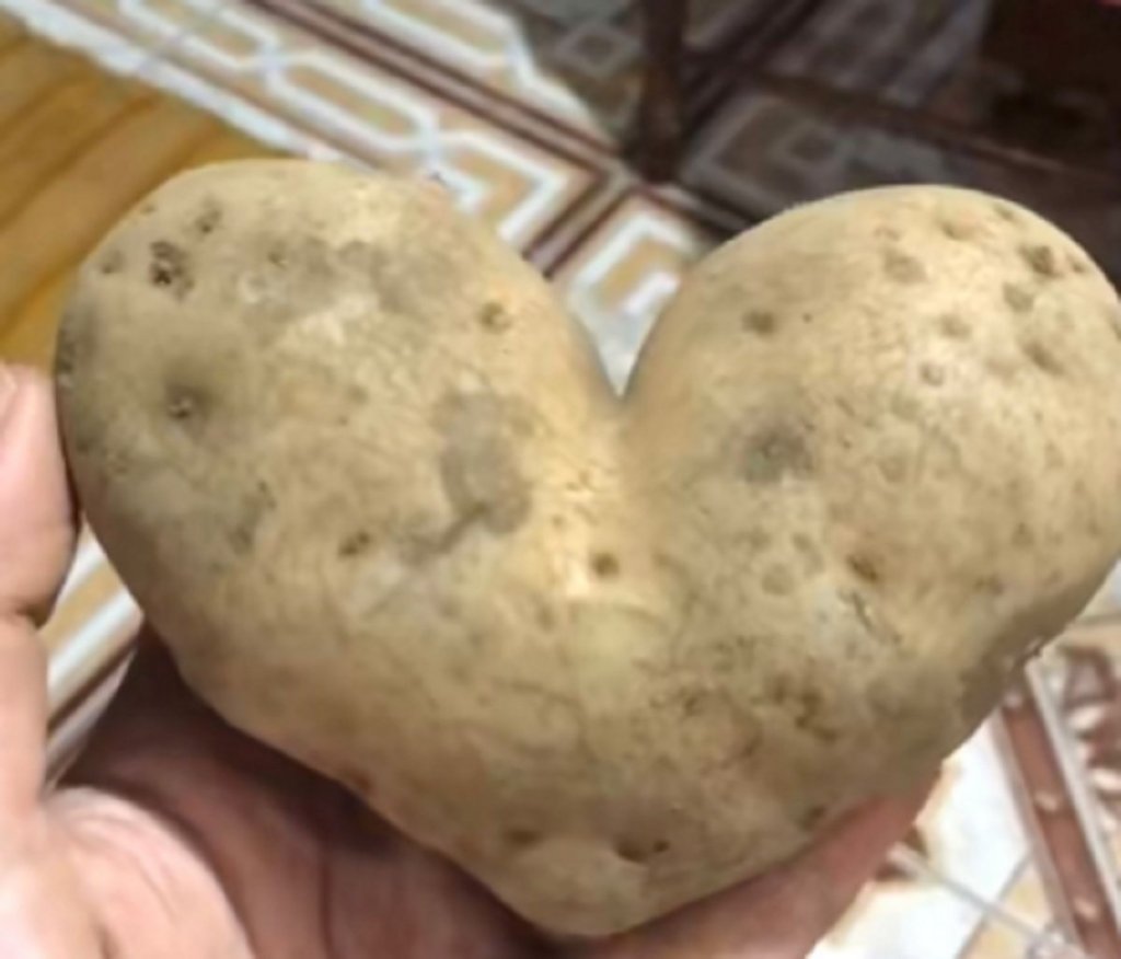 Viral Kentang Bentuk Love, Netizen: Tanam Lagi Siapa Tahu Tumbuh&nbsp;Jodoh